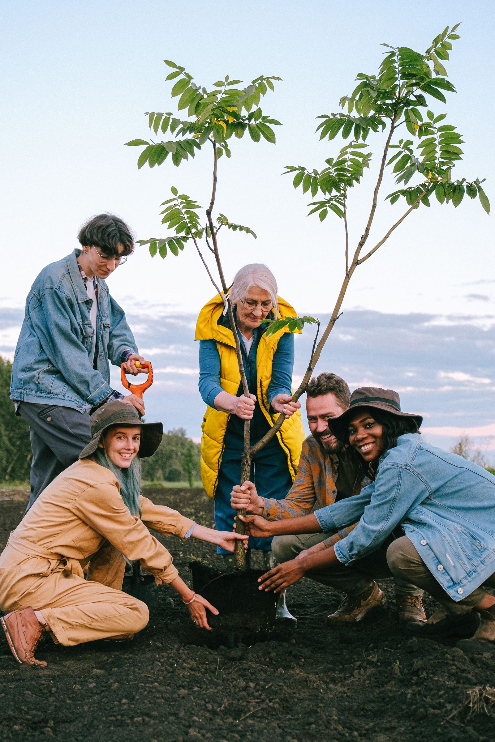 People of several generations planting a young tree together in open ground.
